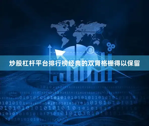 炒股杠杆平台排行榜经典的双肾格栅得以保留