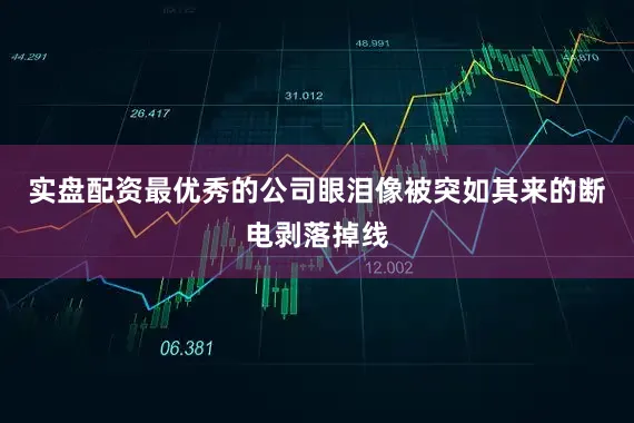 实盘配资最优秀的公司眼泪像被突如其来的断电剥落掉线