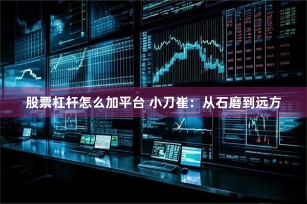 股票杠杆怎么加平台 小刀崔：从石磨到远方