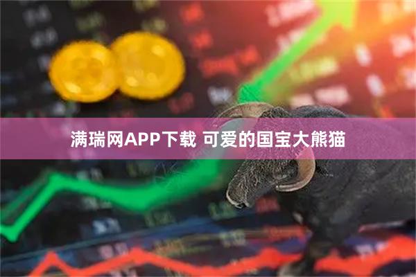 满瑞网APP下载 可爱的国宝大熊猫