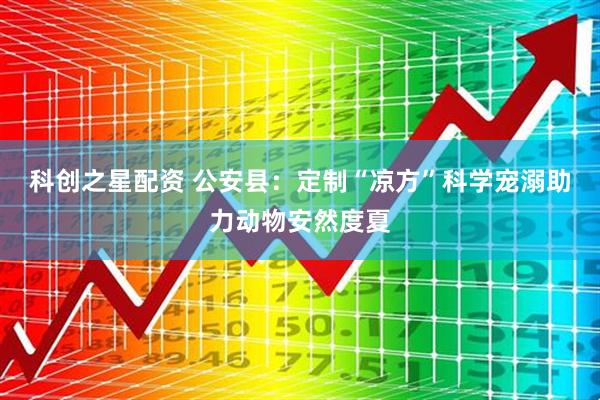 科创之星配资 公安县：定制“凉方”科学宠溺助力动物安然度夏